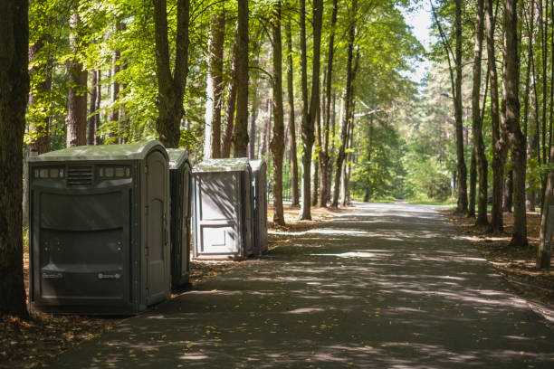 Best Sanitation services for porta potties  in Alorton, IL